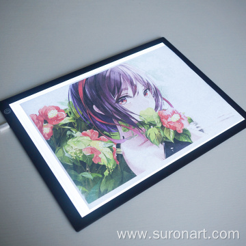 LED Backlit Popular Tracing Light Box